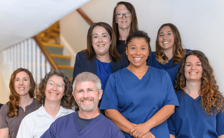 Meet the Team
